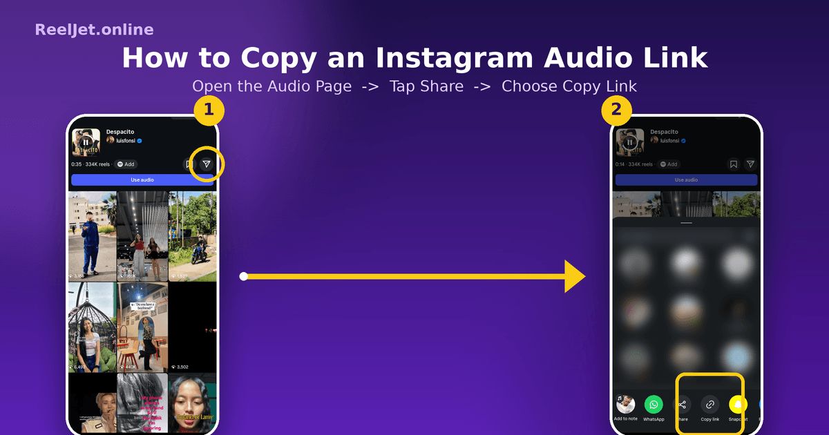 How to download Instagram audio - Step by step guide